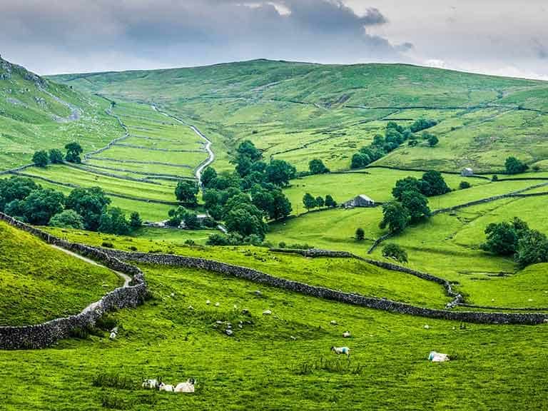 Stone walls crisscrossing farmland in the Yorkshire Dales